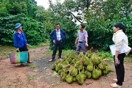Chủ động phòng ngừa, giảm thiệt hại do thiên tai