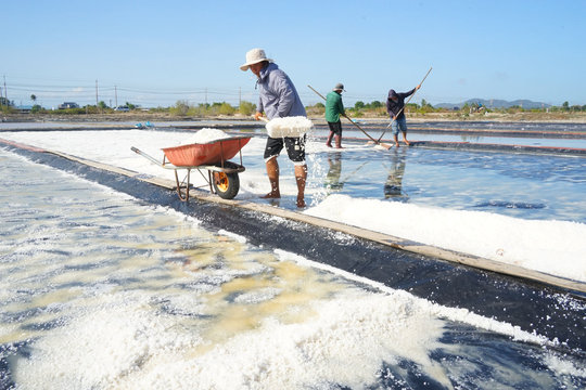 Nắng, gió kết tinh hạt muối trắng ngần