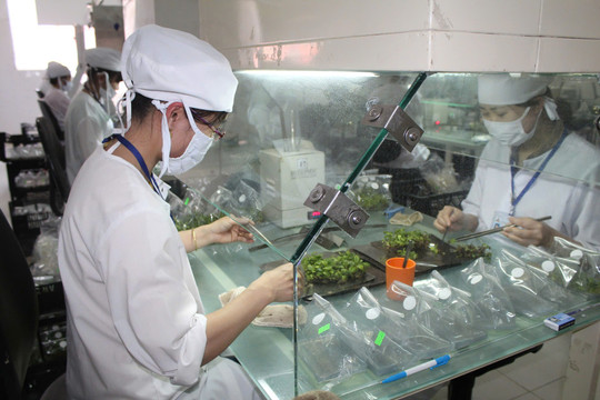 Bài 4: Tạo sắc thái mới cho “trụ đỡ” tam nông