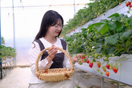 “Nốt nhạc xanh” của du lịch Lâm Đồng