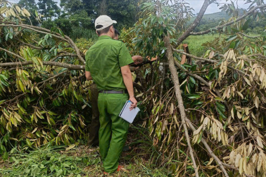 Quảng Trực xác minh thông tin giữ người trái quy định sau vụ chém bảo vệ
