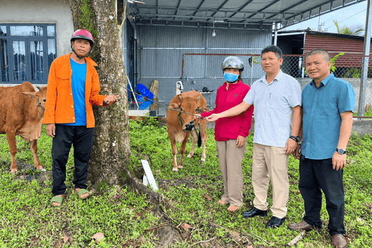 Hỗ trợ sinh kế phù hợp với nhu cầu người dân