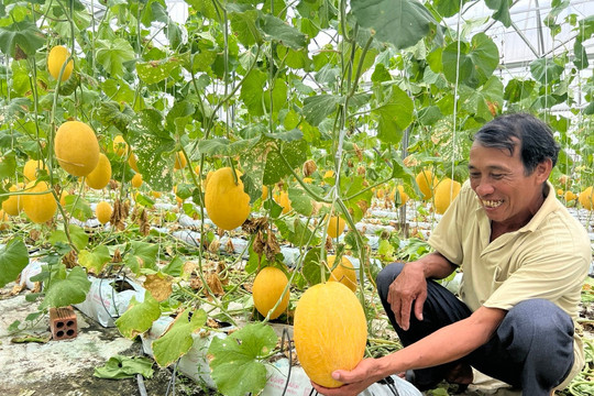 Hành trình làm chủ của nông dân Lâm Đồng