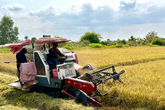 Sông Lũy tập trung chuyển đổi cây trồng, vật nuôi phù hợp
