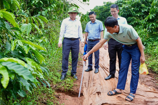 Phường Bắc Gia Nghĩa cảnh báo người dân hạn chế tiếp cận khu vực có nguy cơ sạt trượt