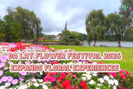Da Lat Flower Festival 2026 Expands Floral Experiences
