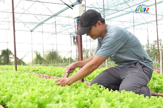 Nông dân Đà Lạt nhàn hơn nhờ nông nghiệp thông minh
