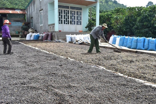 Tái cấu trúc 2 nhóm cây trồng trụ cột