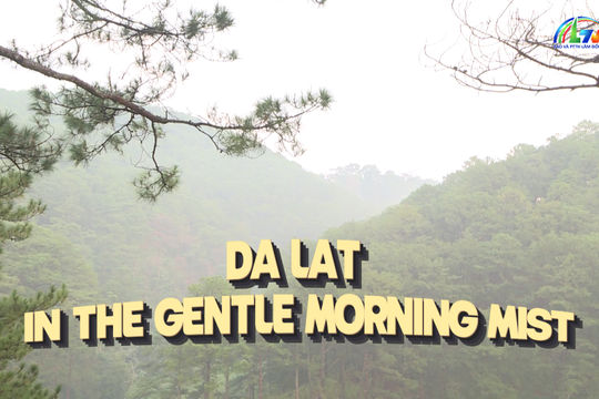 Da Lat In The Gentle Morning Mist