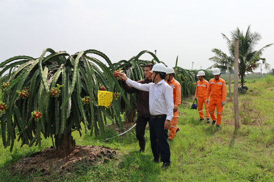 Dòng điện tăng giá trị nông sản