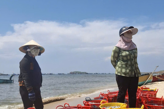 Khép vòng tuần hoàn từ biển vào đồng ruộng