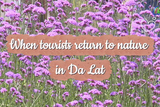 When tourists return to nature in Da Lat