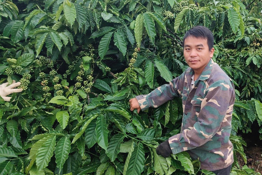 Chàng trai người Mông truyền cảm hứng cho bản làng