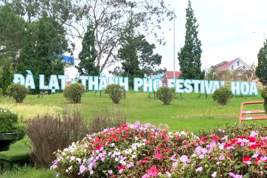 Hướng đến Festival Hoa Đà Lạt từ khu dân cư