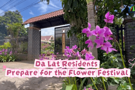 Da Lat Residents Prepare for the Flower Festival