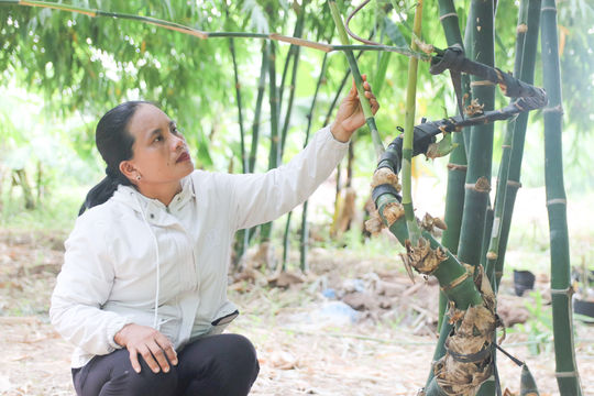 Tạo “điểm tựa” để phụ nữ nhạy bén trên môi trường số