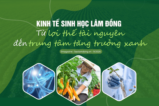 Kinh tế sinh học Lâm Đồng: Từ lợi thế tài nguyên đến trung tâm tăng trưởng xanh