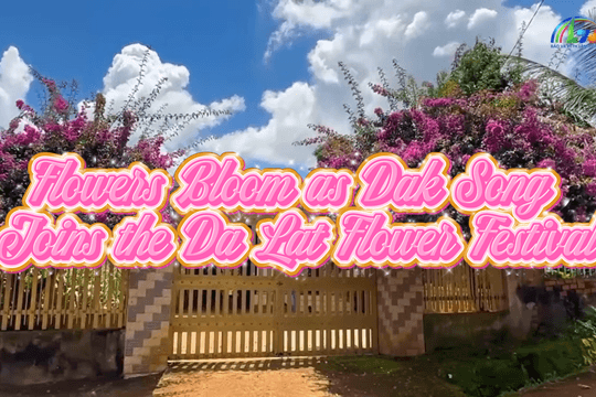 Flowers Bloom as Dak Song Joins the Da Lat Flower Festival