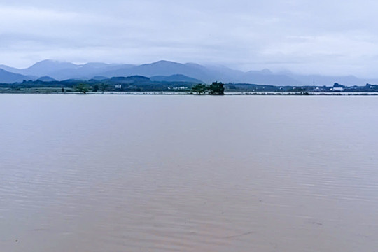 Mưa “trút nước” ven sông La Ngà