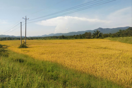 Tính toán từ trong mưa lũ