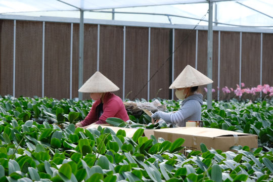 Đạ Tẻh thực hiện hiệu quả các nhiệm vụ phát triển kinh tế - xã hội
