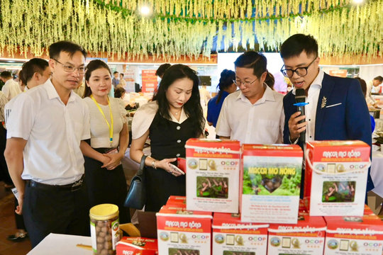 Tuy Đức mở rộng thị trường, nâng giá trị nông sản vùng biên