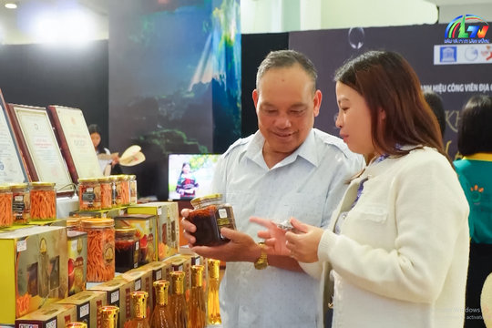 Tập 6: Hương vị miền đất lửa