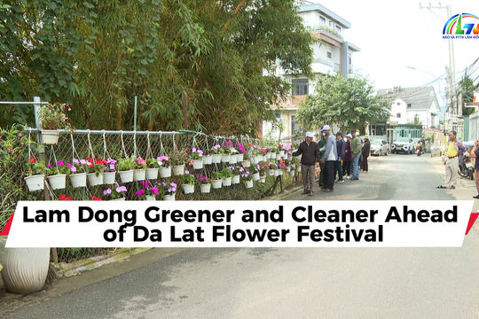 Lam Dong Greener and Cleaner ahead of Da Lat Flower Festival