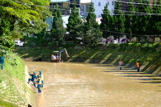 Phường Cam Ly – Đà Lạt ra quân khơi thông dòng chảy, giảm ngập úng