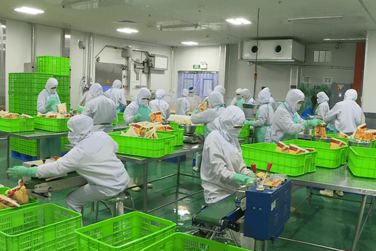 Halal Certification: From Compliance to Export Orders