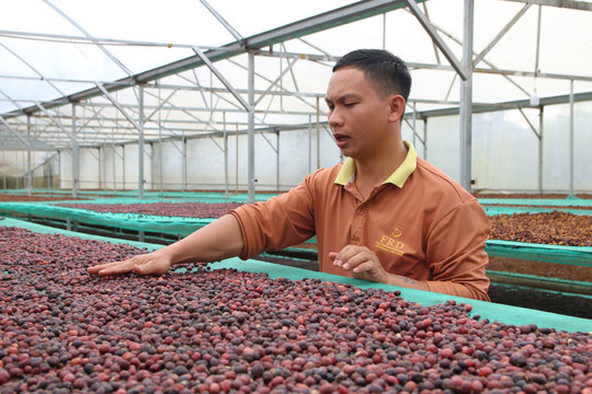 Kỳ 1: Những người trẻ đi tìm lời giải trên đất quê