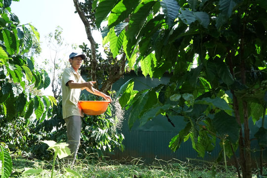 Siết quản lý vật tư, giữ chất lượng nông sản