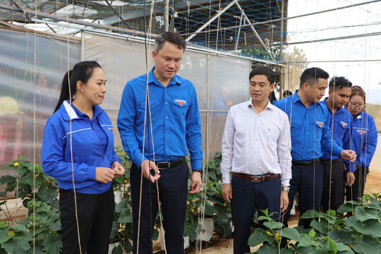 Kỳ 2: Dựng “bệ đỡ” cho khát vọng khởi nghiệp