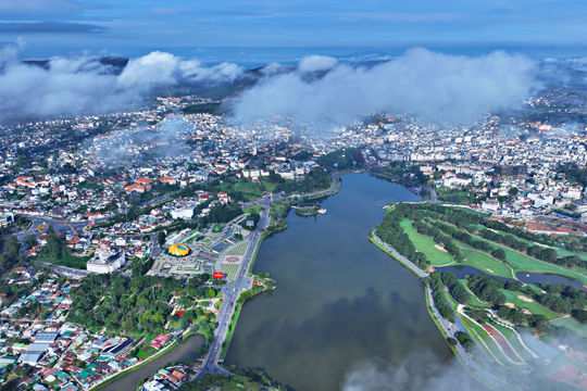 Da Lat Flower Festival 2026 to Expand Flower Export Opportunities