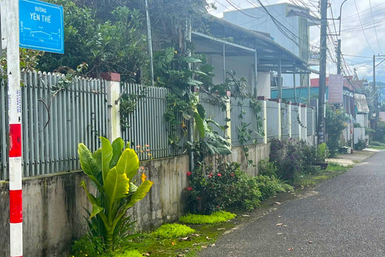 Tìm chủ nhân đánh rơi số tiền 26,8 triệu đồng tại Bảo Lộc