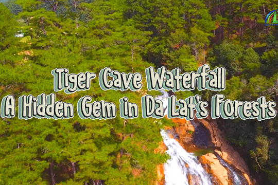 Tiger Cave Waterfall: A Hidden Gem in Da Lat’s Forests