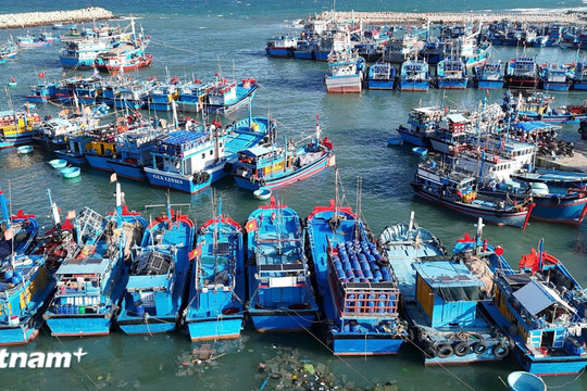 Chống khai thác IUU: Siết quản lý đội tàu, minh bạch nguồn gốc thủy sản