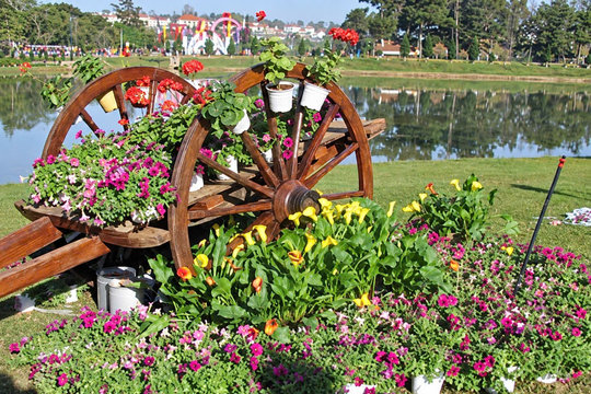 Da Lat Flower Festival 2010: A Festival That Shaped a Distinctive Identity