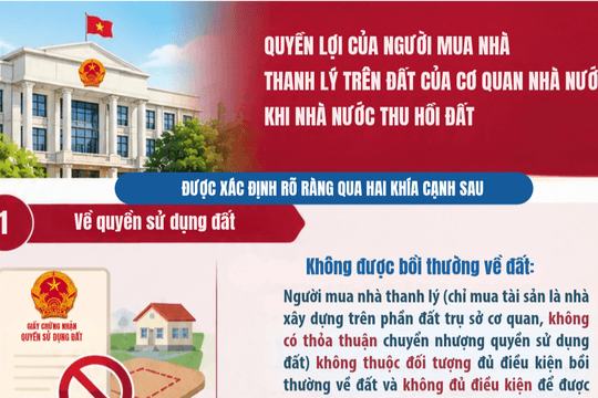 [Infographic] Quyền lợi của người mua nhà thanh lý trên đất của cơ quan nhà nước khi nhà nước thu hồi đất