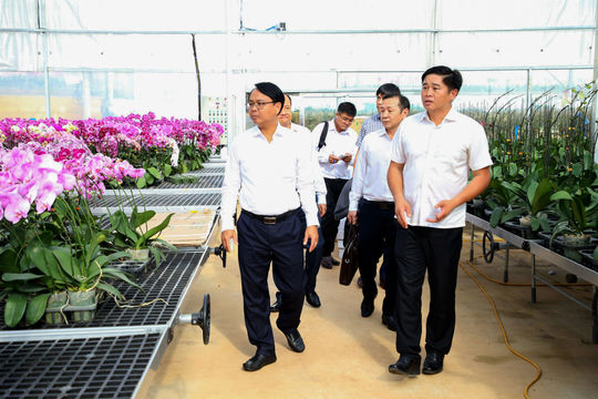 Phó Bí thư Thường trực Tỉnh ủy Lâm Đồng Đặng Hồng Sỹ thăm doanh nghiệp trồng hoa lan