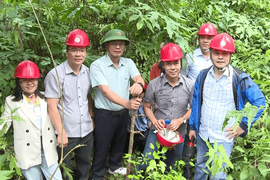 Phó Chủ tịch UBND tỉnh Đinh Văn Tuấn khảo sát hệ thống hang động núi lửa Krông Nô