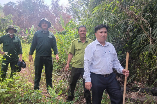 Giữ rừng gắn với sinh kế bền vững