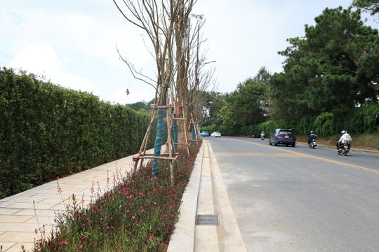 Đà Lạt nâng cấp loạt tuyến đường nội đô