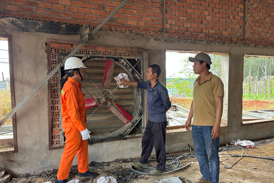 Chăn nuôi dưới hệ thống điện mặt trời áp mái