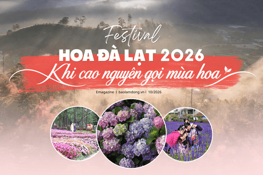 Festival Hoa Đà Lạt 2026: Khi cao nguyên gọi mùa hoa
