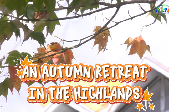 An Autumn Retreat in the Highlands