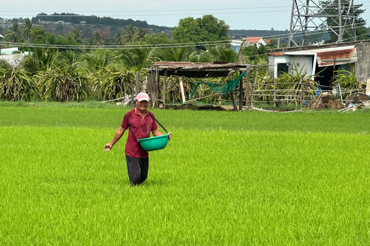 Bảo đảm nguồn nước sản xuất vụ mùa ở phía Đông