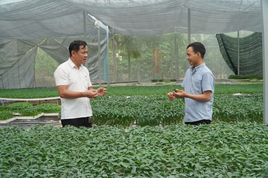 Quảng Phú phát huy lợi thế, phát triển nông nghiệp công nghệ cao