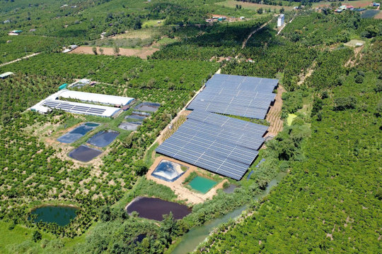Harnessing rooftop sunshine to power greener production