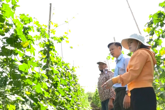 Cư Jút khơi nguồn lực giảm nghèo